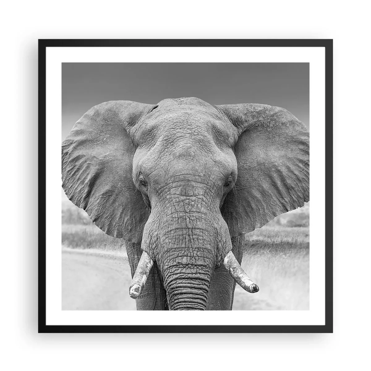 Plakát v černém rámu - Vítejte v mém světě - 60x60 cm