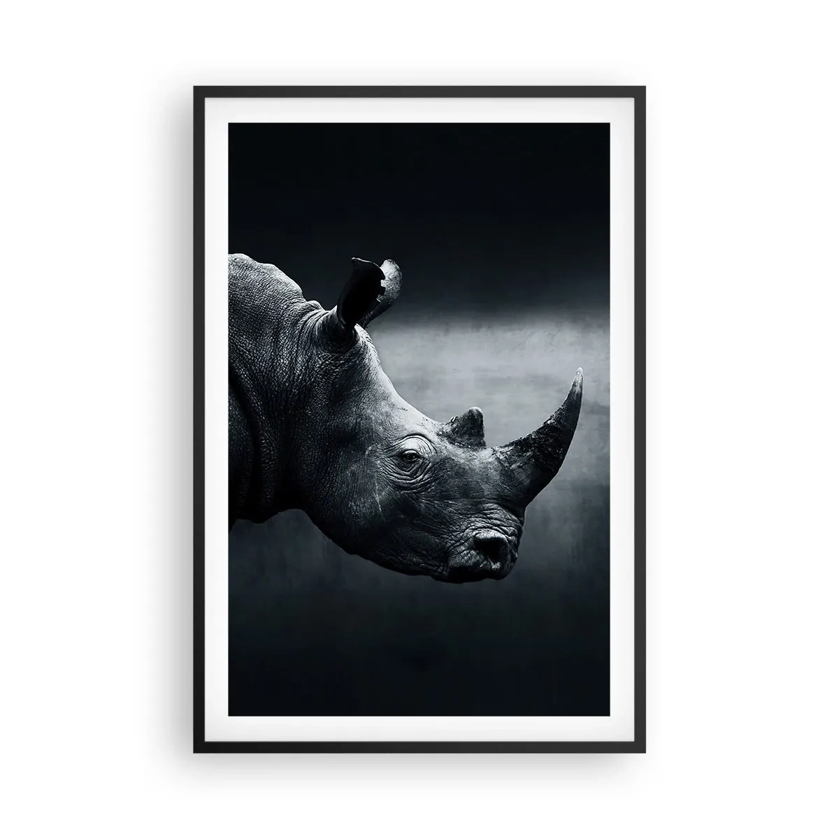 Plakát v černém rámu - Pravý profil - 61x91 cm