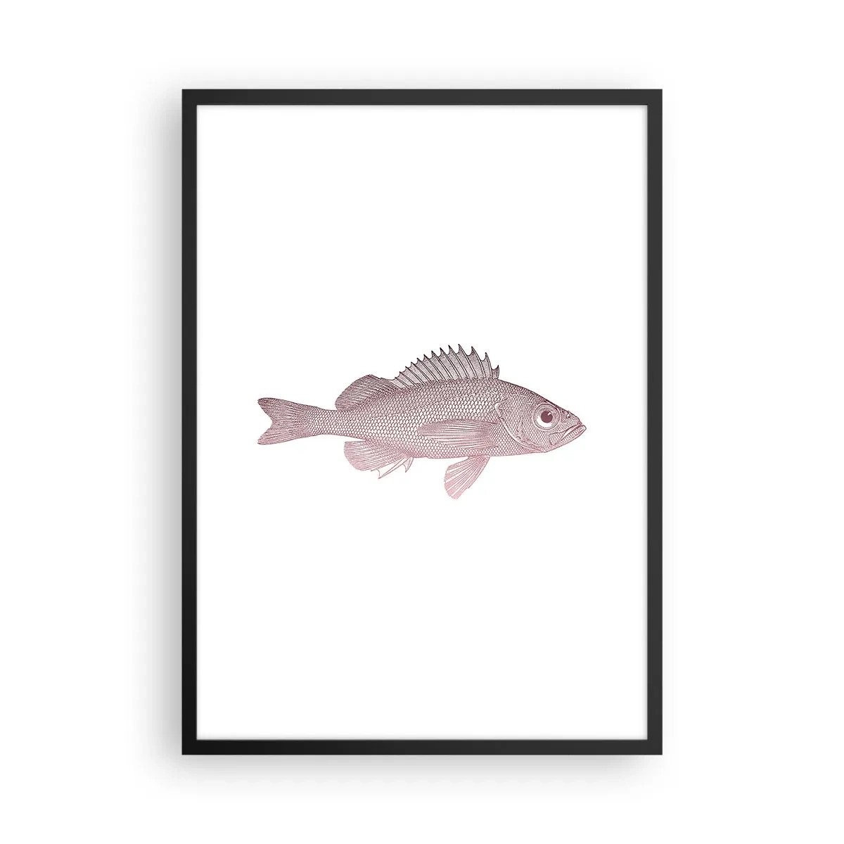 Plakát v černém rámu - Rybí grafika na bílém pozadí v minimalistickém stylu - 50x70cm - Ryba s velkýma očima - Moderní nástěnná dekorace do obývacího pokoje a ložnice ARTTOR
