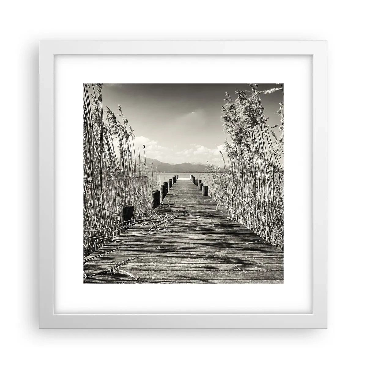 Plakát v bílém rámu - V ústraní travin - 30x30 cm