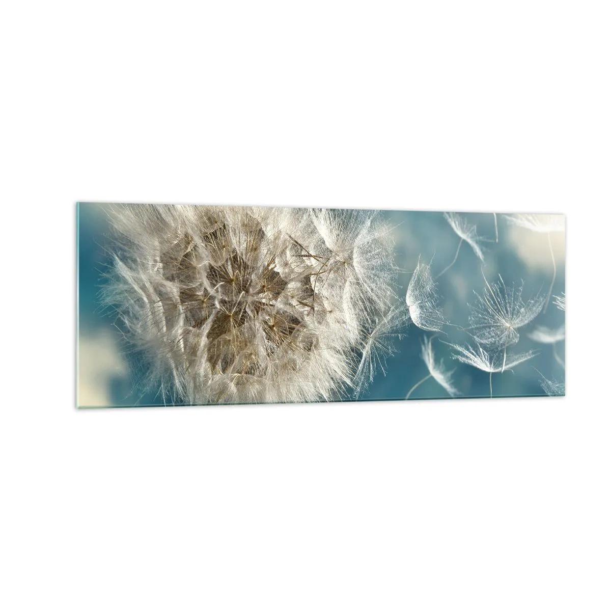 Obraz na skle - Dech anděla - 140x50 cm