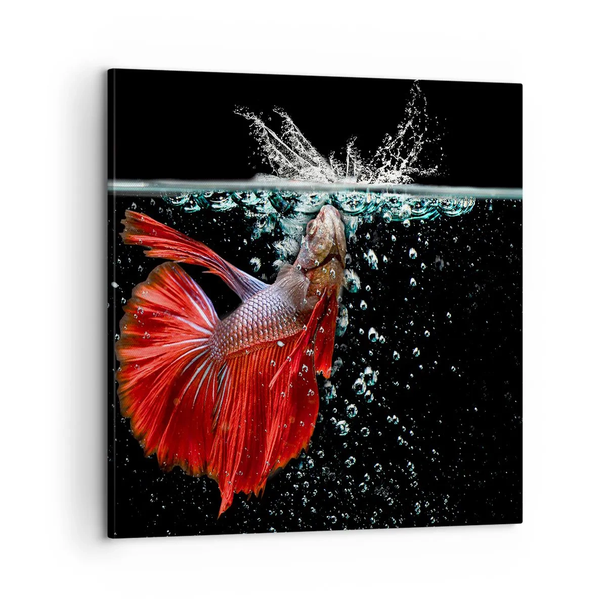 Obraz na plátně - Máš tři přání - 60x60 cm