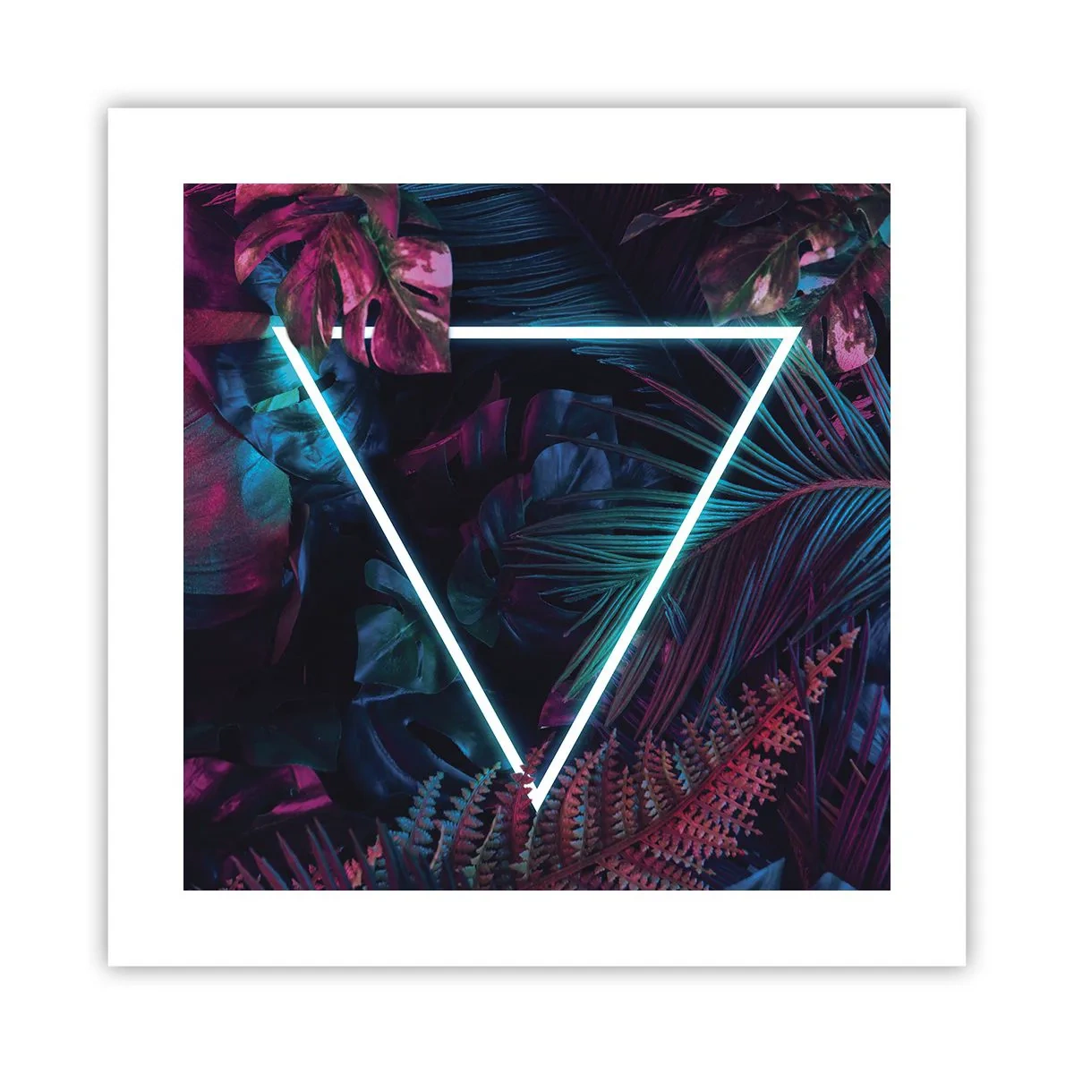 Plakát - Zahrada v disco stylu - 40x40 cm