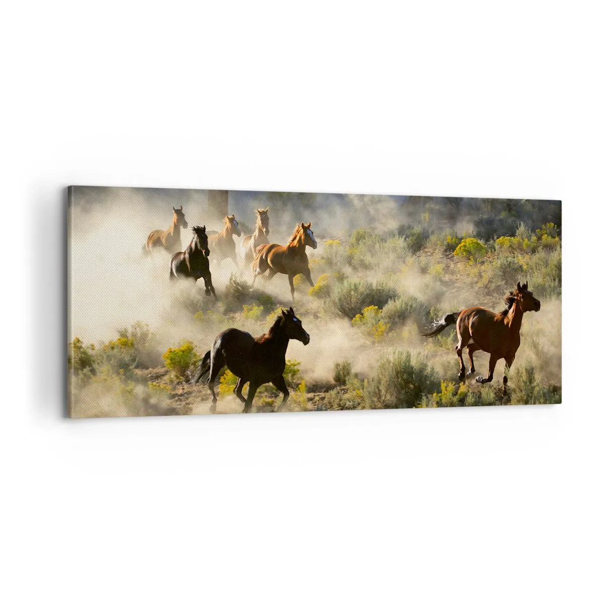 Obraz na plátně - Rivalita - svoboda nebo mužská síla? - 100x40 cm