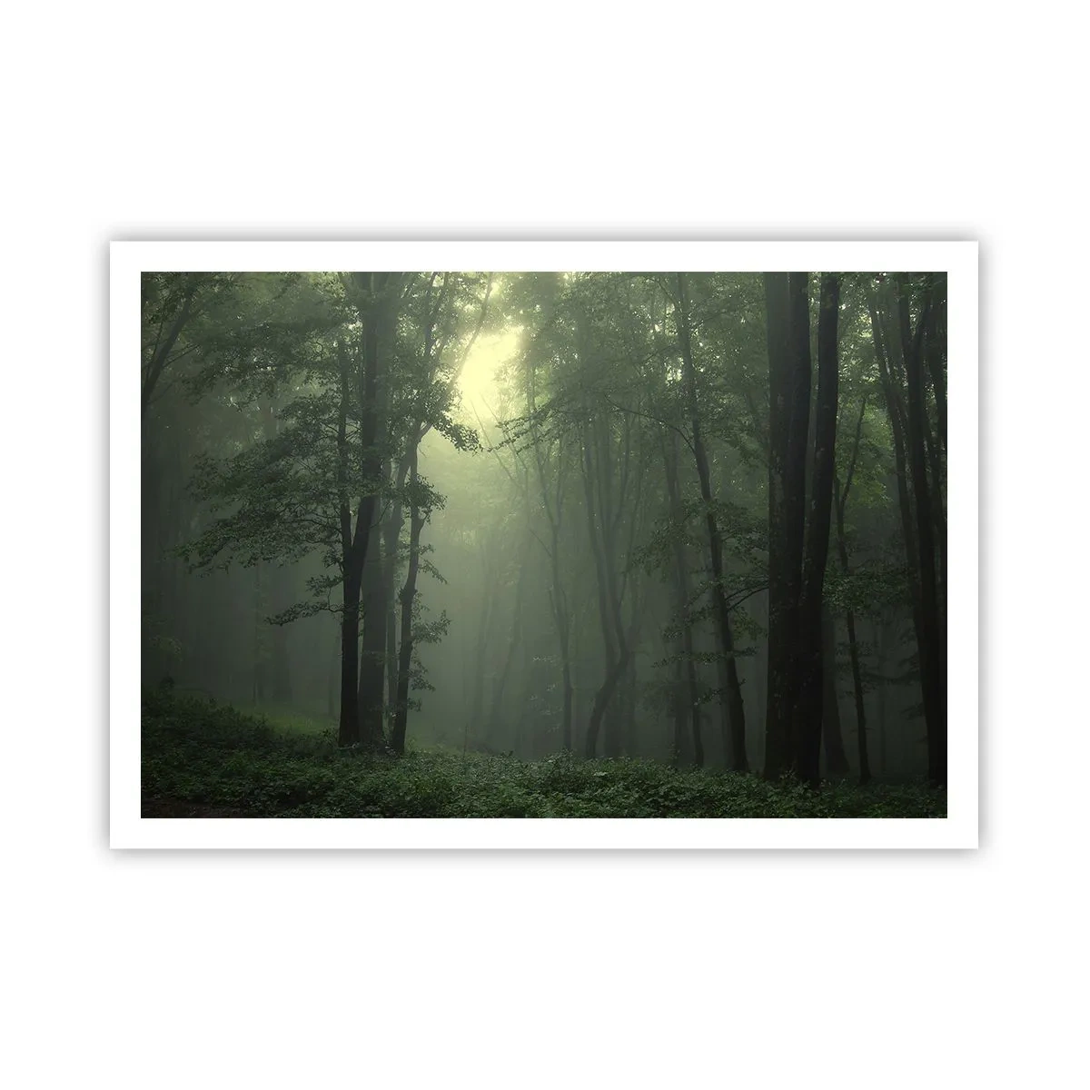 Plakát - Než se probudí - 100x70 cm