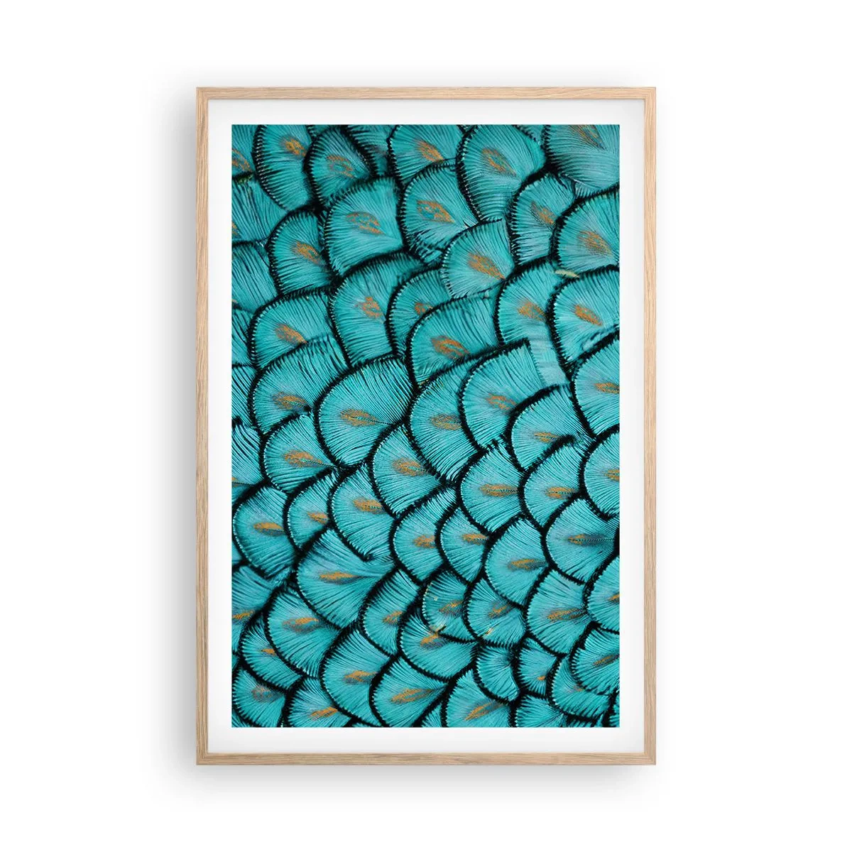 Plakát v rámu světlý dub - Velká slavnost peří - 61x91 cm