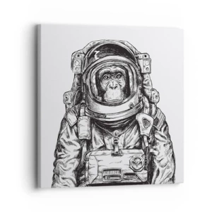 Obraz na plátně - Alternativní vývoj - 30x30 cm