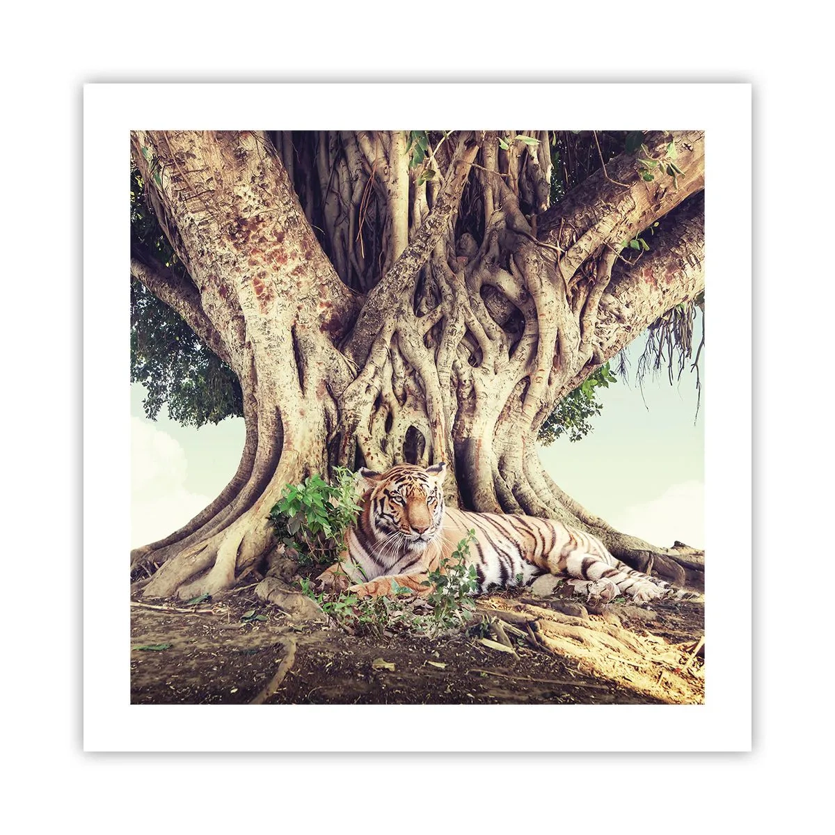 Plakát - Pohled z knihy Mojžíšovy - 50x50 cm