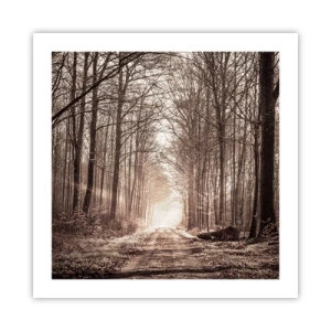 Plakát - Lesní katedrála - 50x50 cm