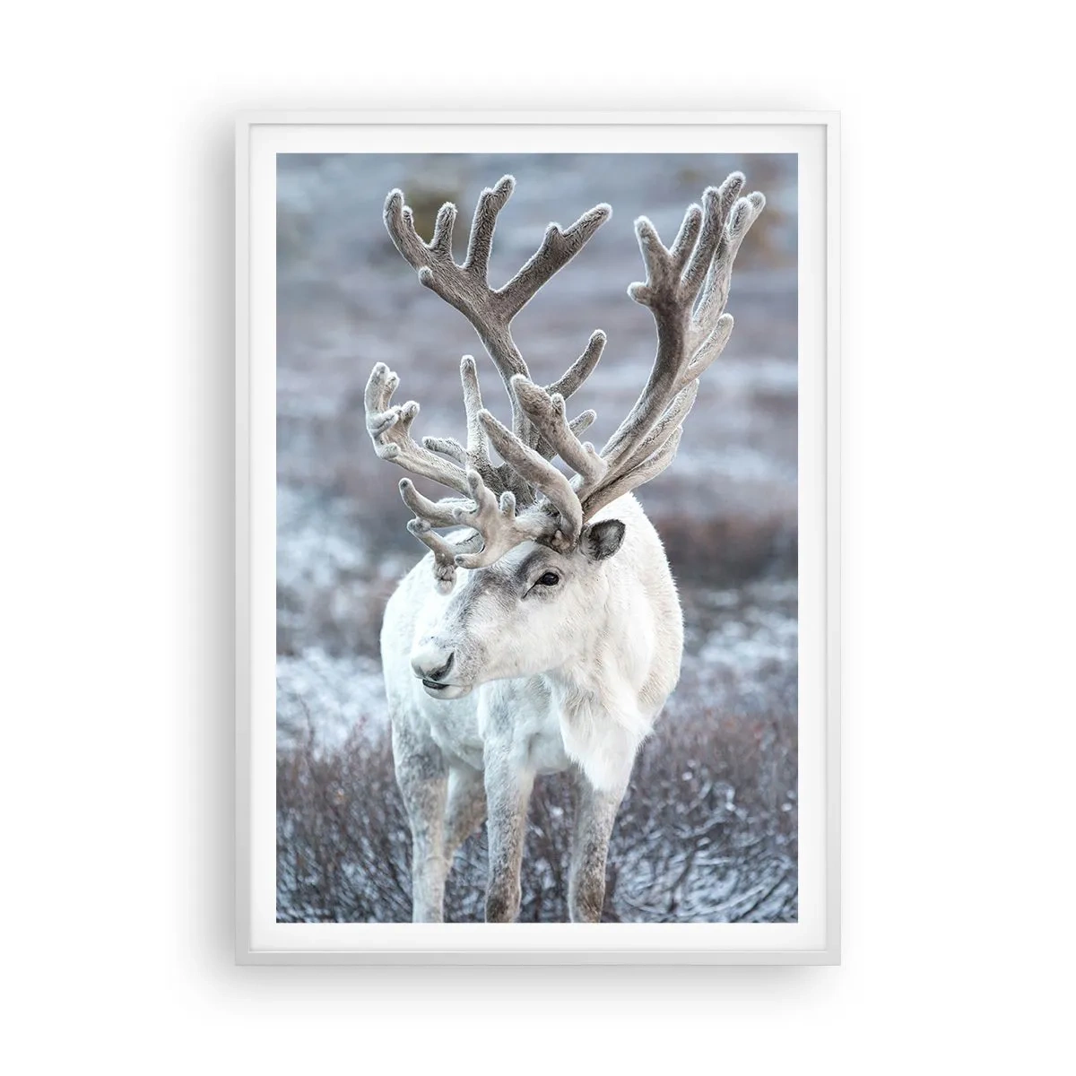 Plakát v bílém rámu - Sluneční portrét - 70x100 cm