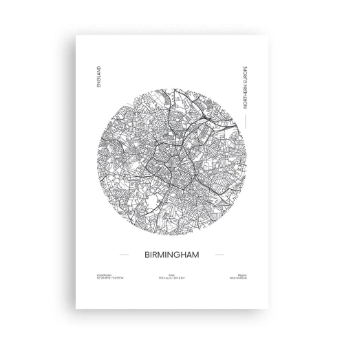 Plakát - Anatomie Birminghamu - 70x100 cm