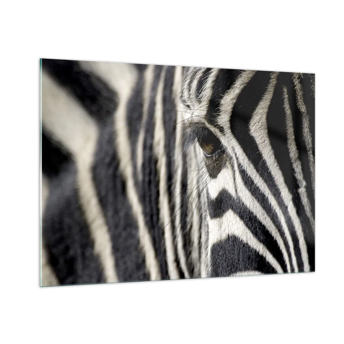 Obraz na skle - Portrét s pruhy - 100x70 cm