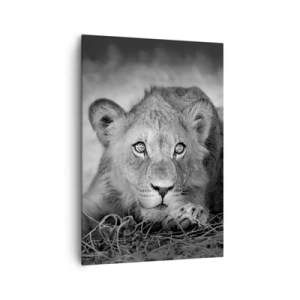 Obraz na plátně - Královské štěně - 70x100 cm