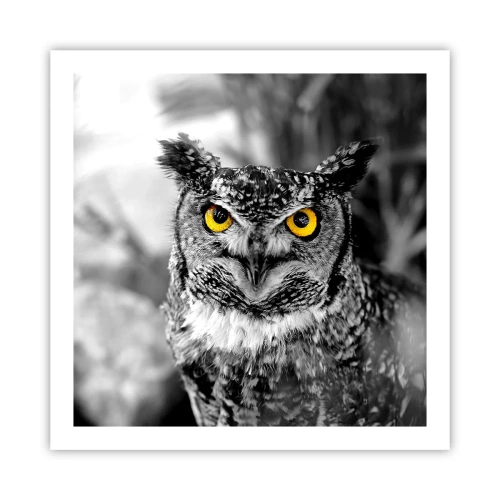 Plakát - Nic se neschová - 60x60 cm