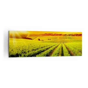 Obraz na plátně - Pod australským sluncem - 160x50 cm