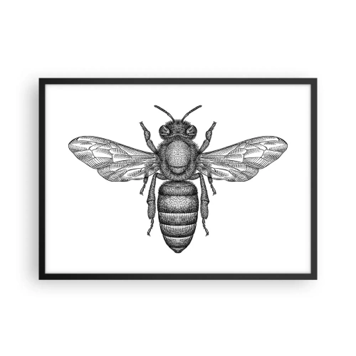 Plakát v černém rámu - Hmyzí portrét - 70x50 cm