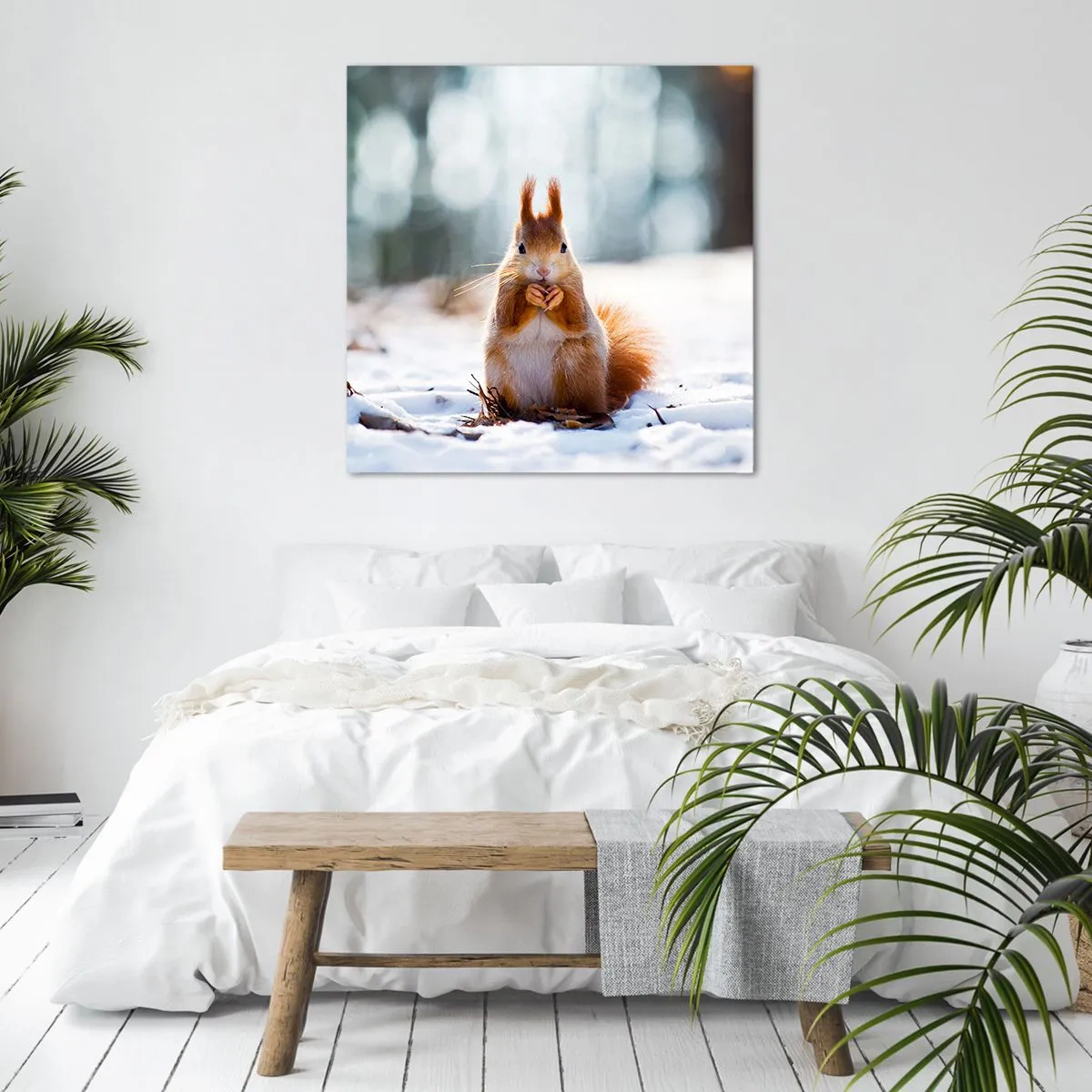 Obraz na plátně - Co se tak díváš? - 40x40 cm