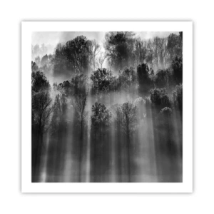 Plakát - V paprscích světla - 60x60 cm