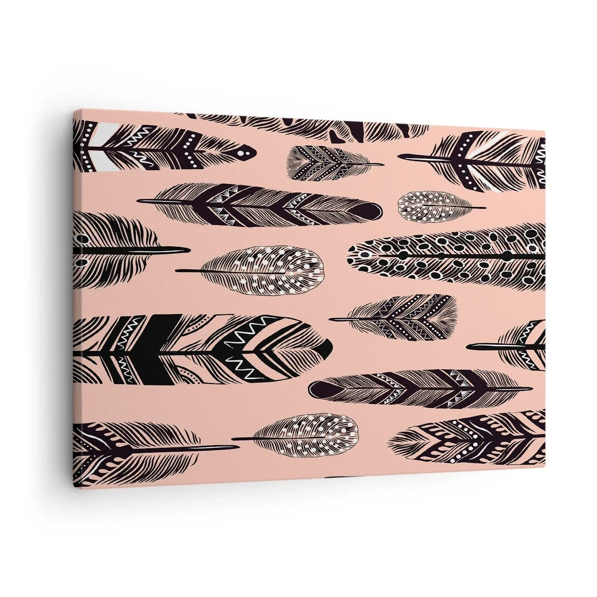 Obraz na plátně - Dekorativní peří na světlém pozadí - 70x50cm - Indiánská kolekce - Moderní nástěnná dekorace do obývacího pokoje a ložnice ARTTOR