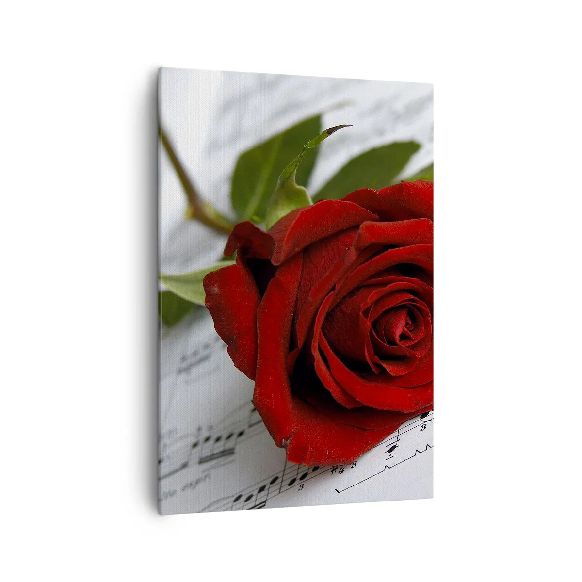 Obraz na plátně - Hudba pocitu v šarlatové - 70x100 cm