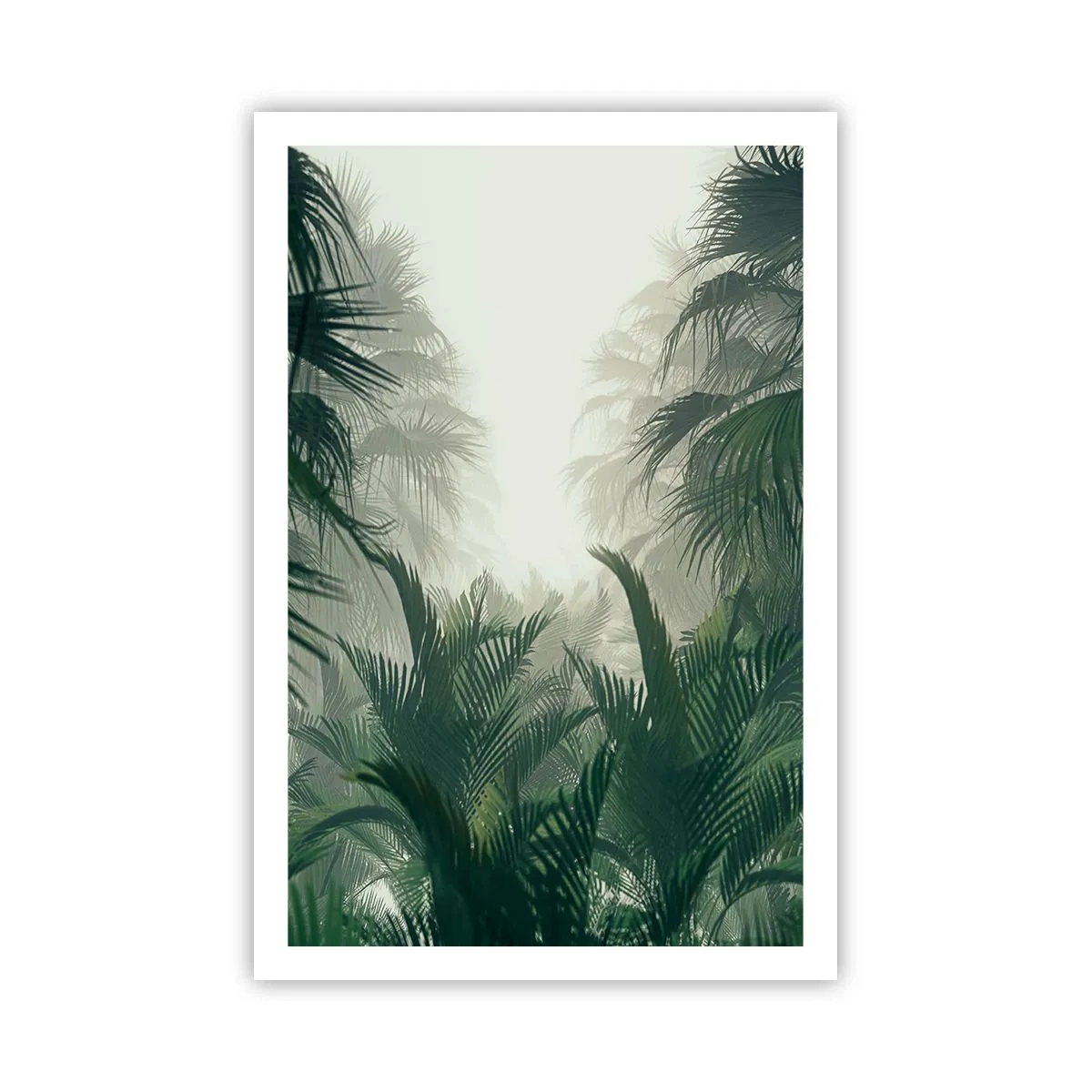 Plakát - Tropická záhada - 61x91 cm