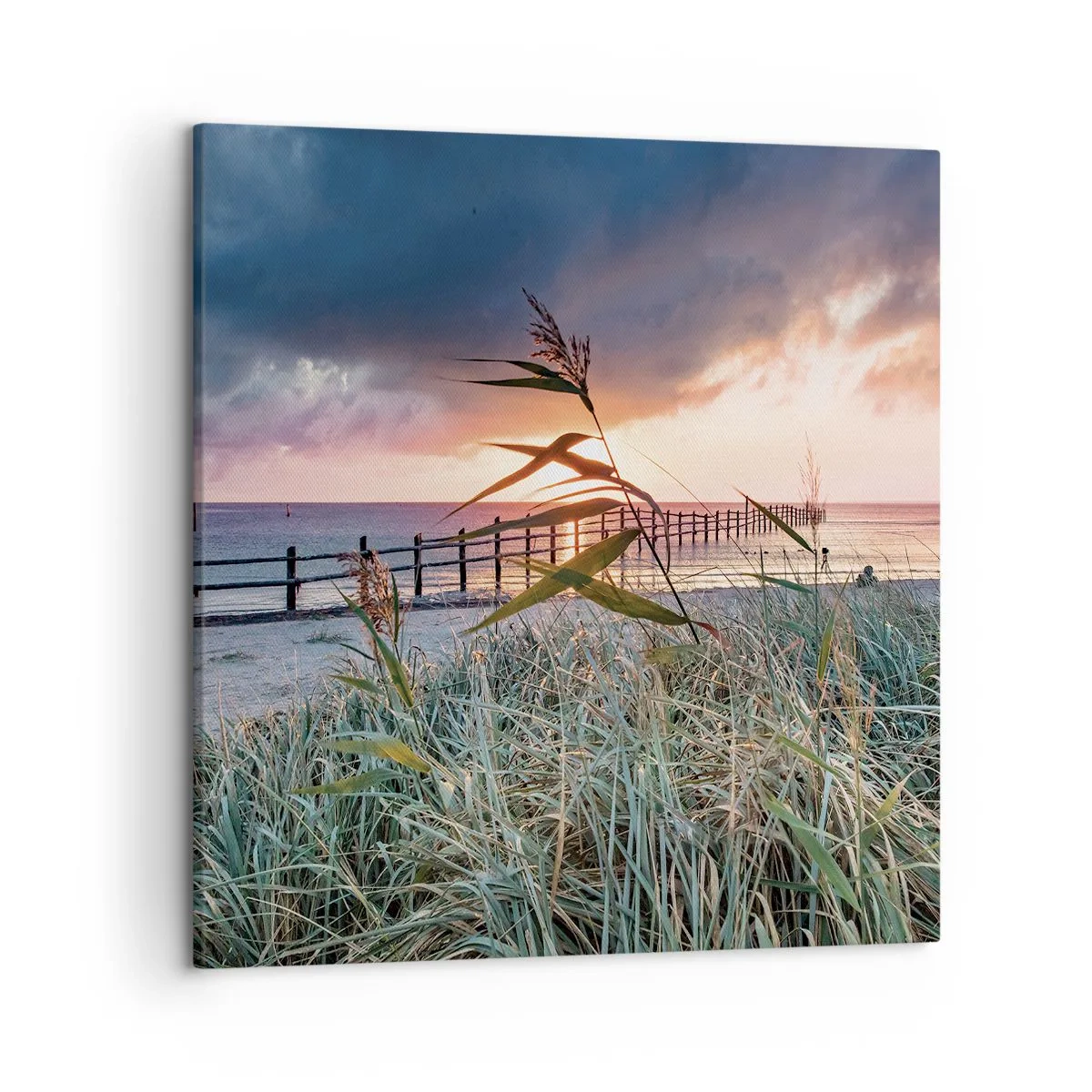 Obraz na plátně - Neodváto větrem - 50x50 cm