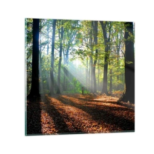 Obraz na skle - Světla a stíny - 70x70 cm