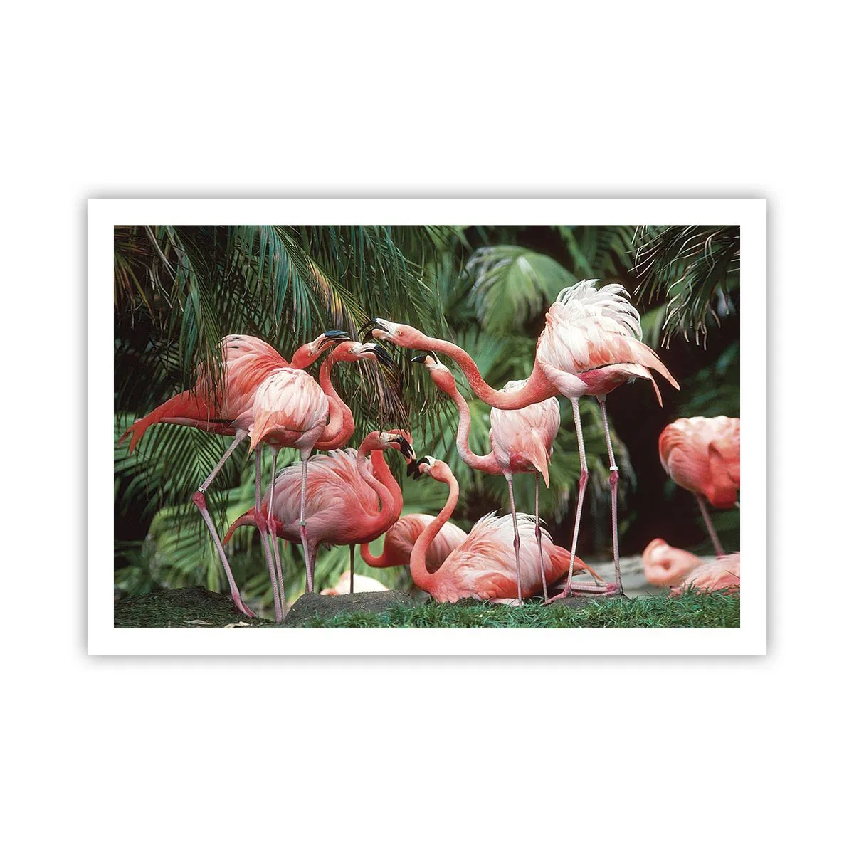 Plakát - Odpolední drby - 91x61 cm