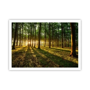 Plakát - Fotografie všech jar - 100x70 cm