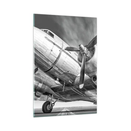 Obraz na skle - Vždy připraven k letu - 80x120 cm