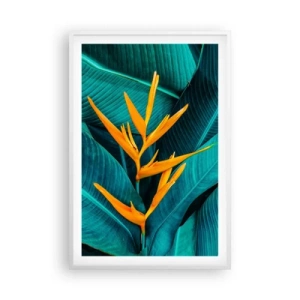 Plakát v bílém rámu - Rajský květ - 61x91 cm
