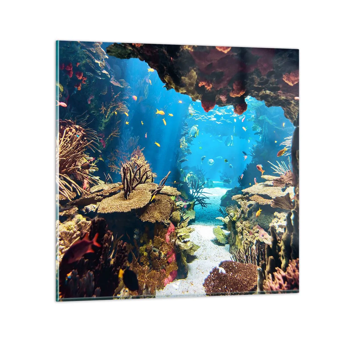 Obraz na skle - Ani ve snu tě to nenapadlo - 50x50 cm