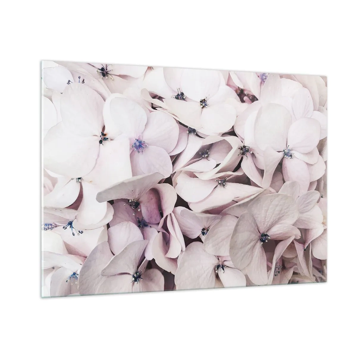 Obraz na skle - V záplavě květin - 100x70 cm