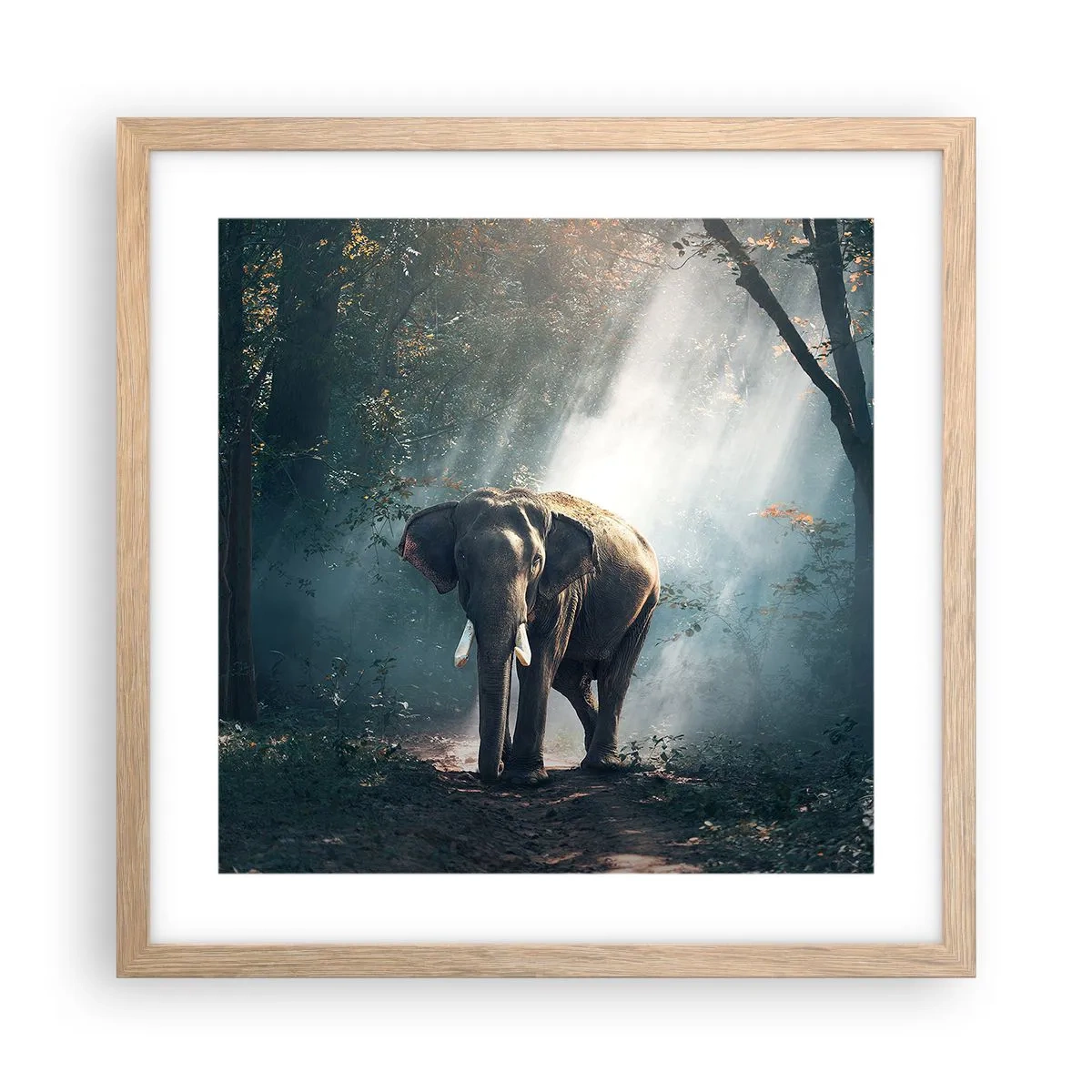 Plakát v rámu světlý dub - Klidná procházka - 40x40 cm