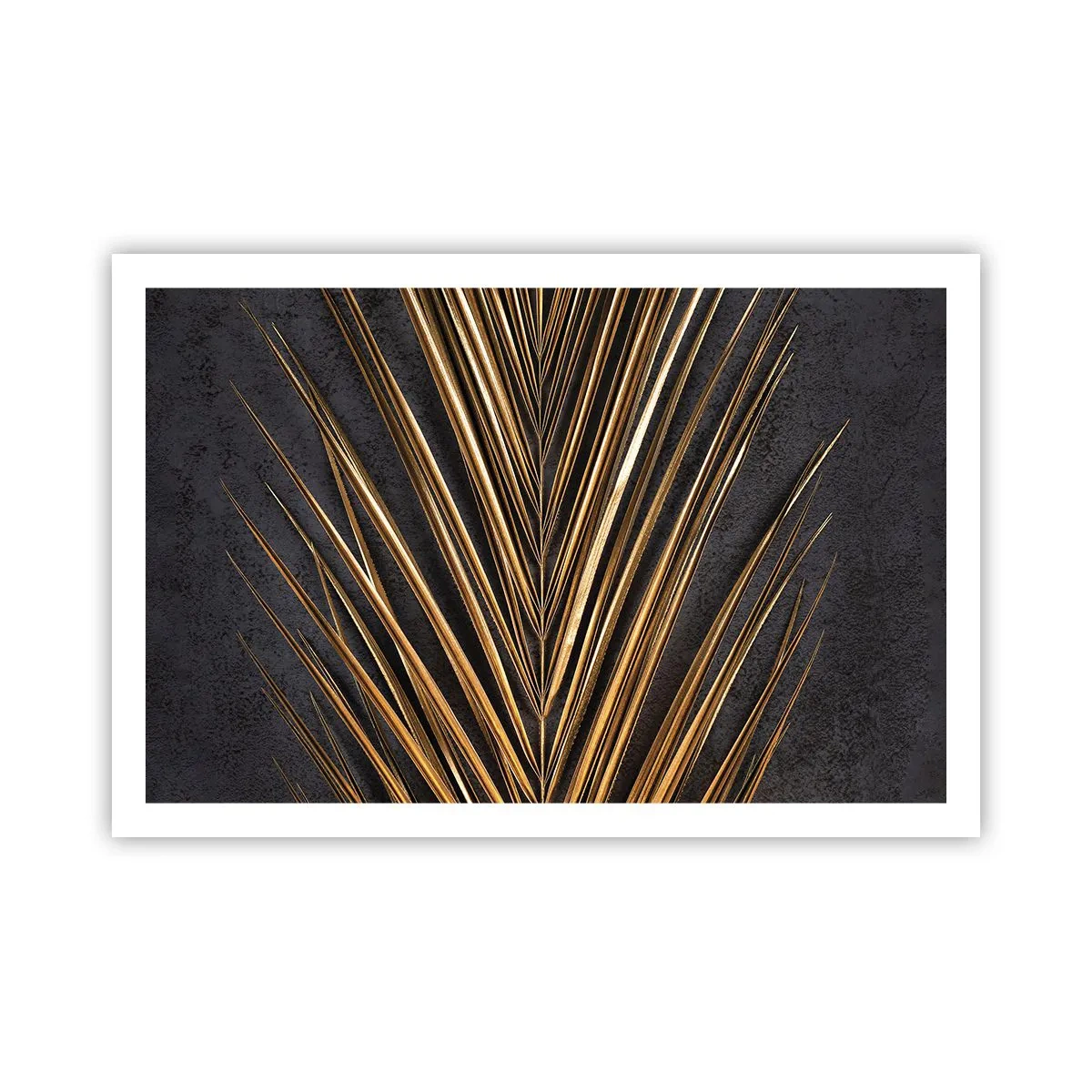 Plakát - Zlato tropů - 91x61 cm
