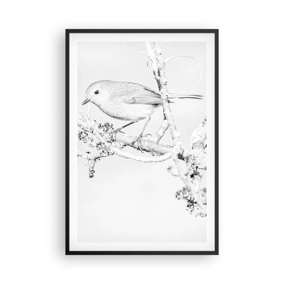 Plakát v černém rámu - Zimní ráno - 61x91 cm