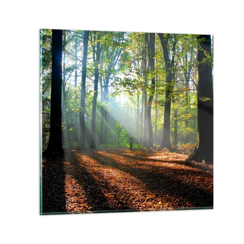 Obraz na skle - Světla a stíny - 40x40 cm