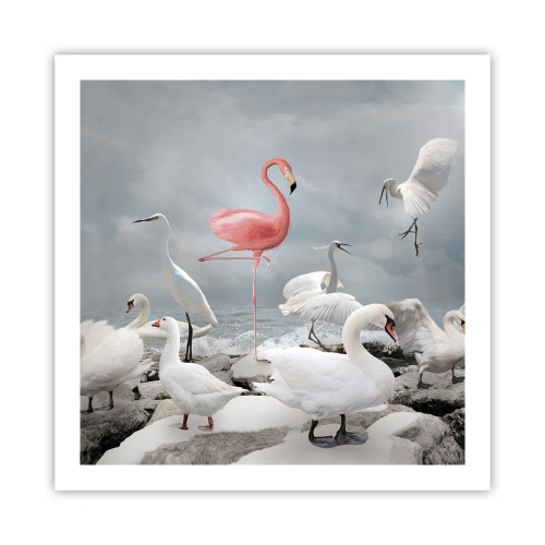 Plakát - Kde jsem se tu vzal? - 60x60 cm