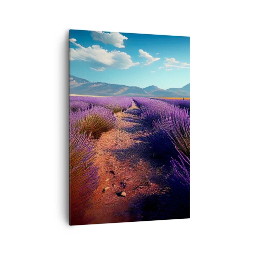 Obraz na plátně - Voňavá pole - 70x100 cm