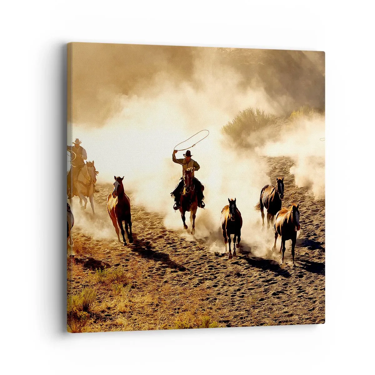 Obraz na plátně - Skutečně divoký západ - 40x40 cm