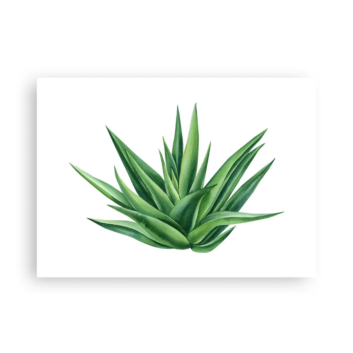 Plakát - Zelená – síla – život - 70x50 cm