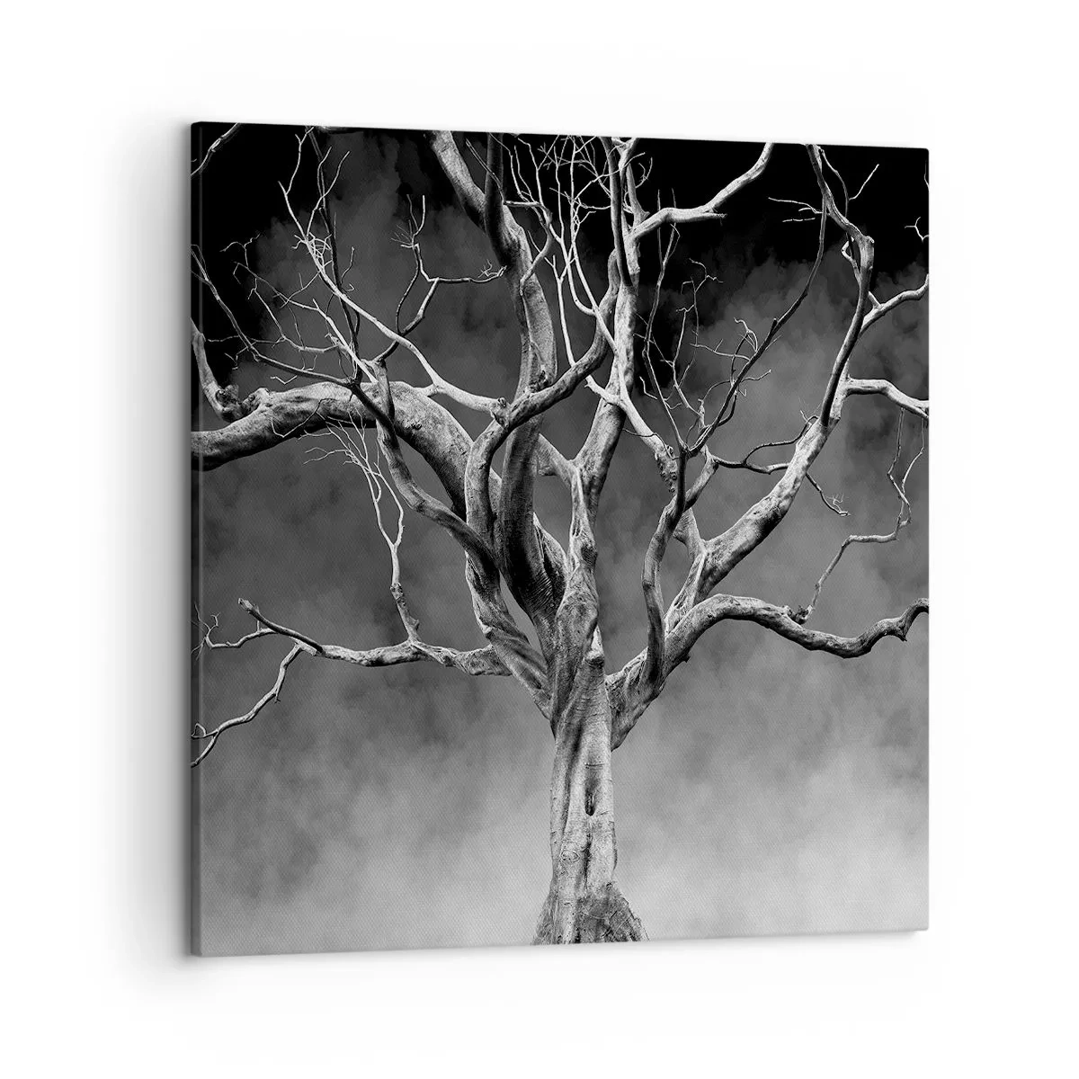 Obraz na plátně - Původní a svaté - 50x50 cm