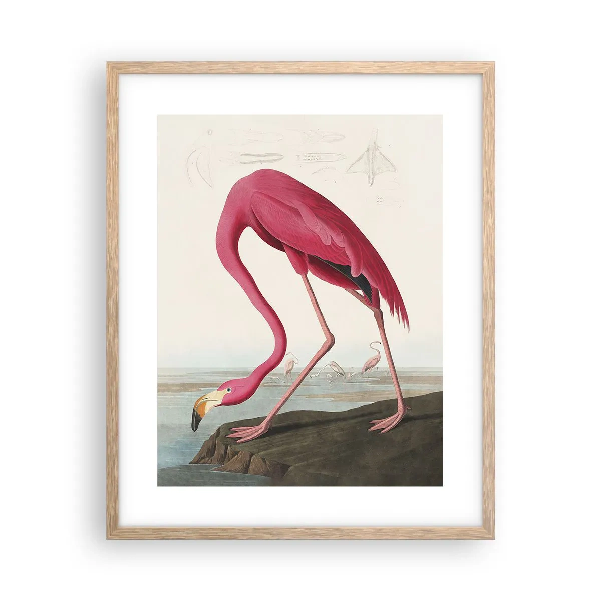 Plakát v rámu světlý dub - Úžasná stvůra - 40x50 cm