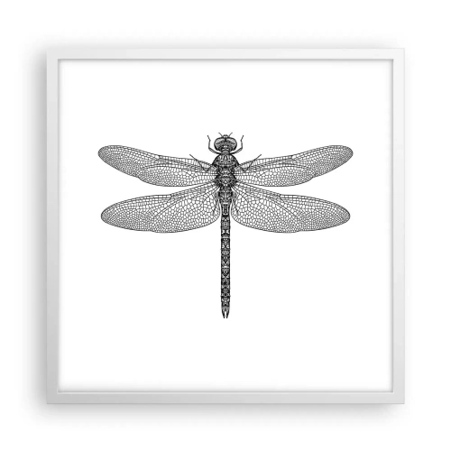 Plakát v bílém rámu - Přesnost přírody - 50x50 cm