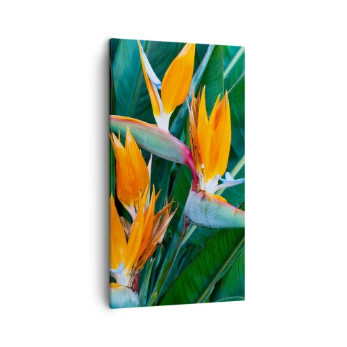 Obraz na plátně - Je to květina, nebo pták? - 45x80 cm