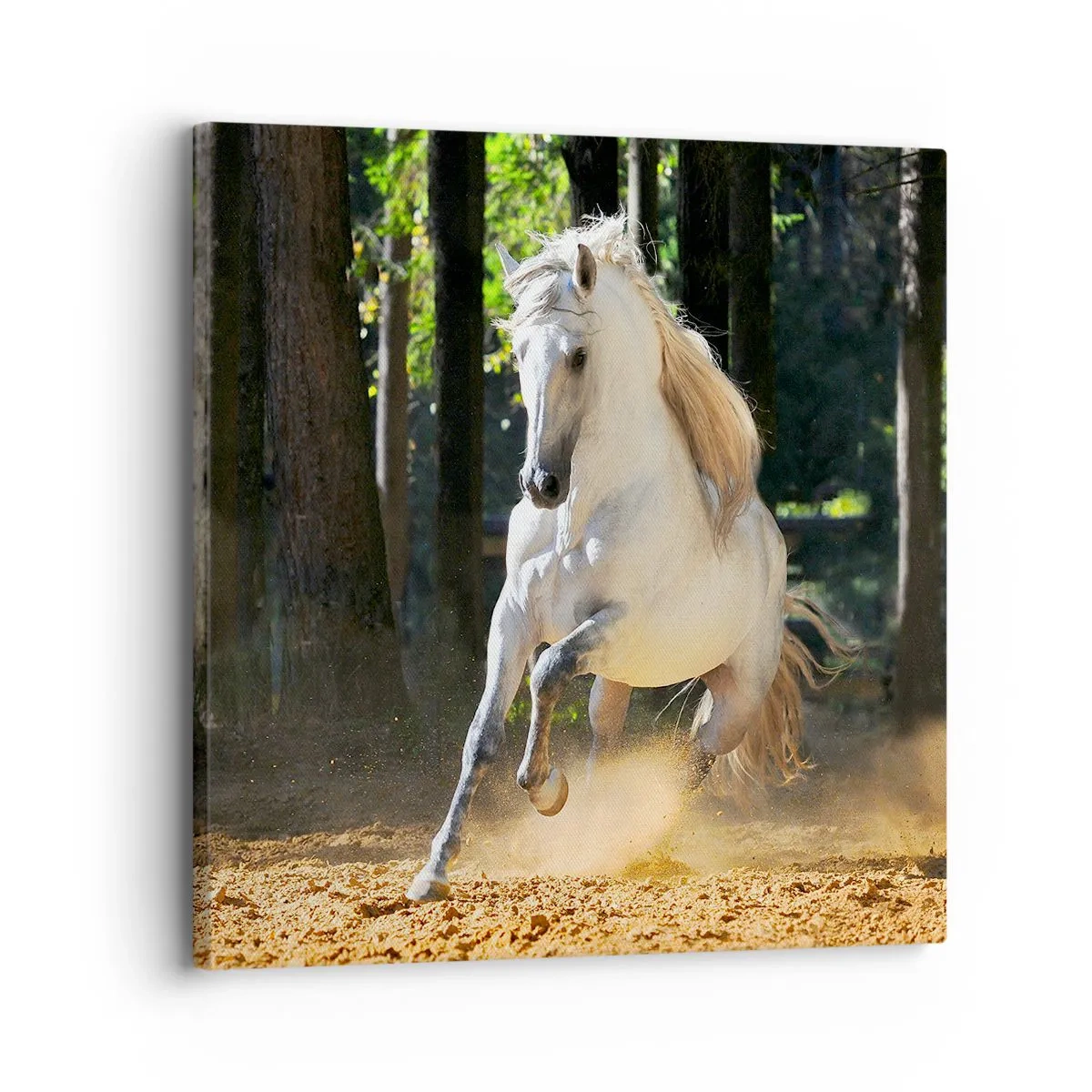 Obraz na plátně - Jako z fantasy románu - 30x30 cm