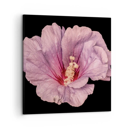 Obraz na plátně - Přímo do srdce - 50x50 cm