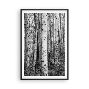 Plakát v černém rámu - Březová kolonáda - 61x91 cm