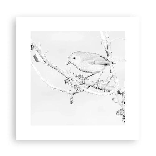 Plakát - Zimní ráno - 30x30 cm