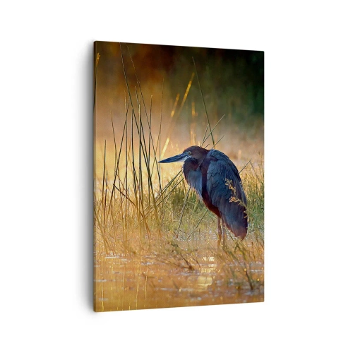 Obraz na plátně - Ušetřete mě těch fotek - 50x70 cm